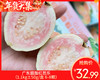 广东胭脂红芭乐（1.1kg±50g/盒 6-8颗） 商品缩略图0