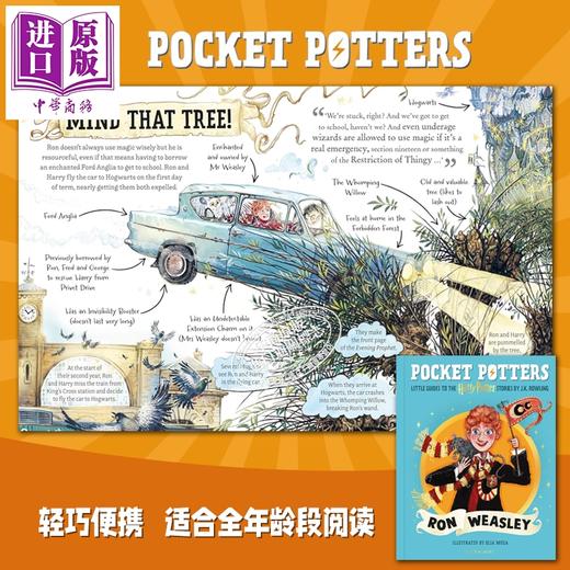 【中商原版】口袋波特5本套 哈利波特赫敏罗恩 Pocket Potters Little Guides to The Harry Potter Stories 英文原版 JK Rowling 商品图3