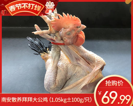 南安散养拜拜大公鸡（1.05kg±100g/只） 商品图0