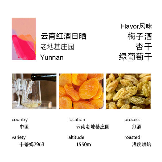 中国云南普洱天皓庄园卡蒂姆红酒日晒精品咖啡豆/粉200克 商品图1