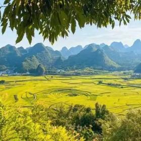 【春日赏花】贵州 | 兴义万峰林百花酒店旅居套餐，￥699元起/单人5晚，2人起订，可选7/10晚旅居套餐，来兴义，看全国最早一波的万亩油菜花！