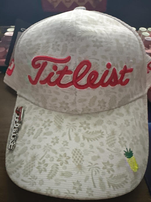 TIT帽子，刺绣菠萝印花，百搭款A221031 商品图0