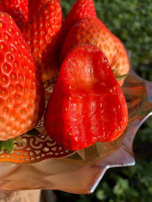 🏮办年货！春节不打烊！ 丹东九九草莓·香甜浓郁 商品图5