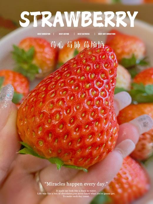 🏮办年货！春节不打烊！ 丹东九九草莓·香甜浓郁 商品图1
