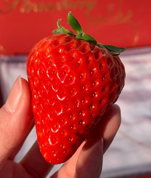 🏮办年货！春节不打烊！ 丹东九九草莓·香甜浓郁 商品图3