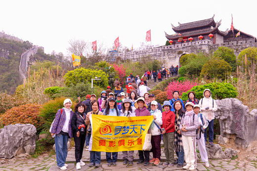 贵州平坝樱花、黄蜡樱花、金海雪山、青岩古镇、字龙田油菜花5天 商品图7