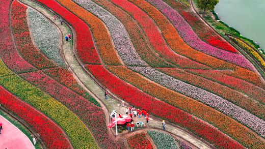 水墨江南·光影寻踪 镇江金山寺+扬州瘦西湖+兴化垛田油菜花+野鹿荡盐城5天 商品图5