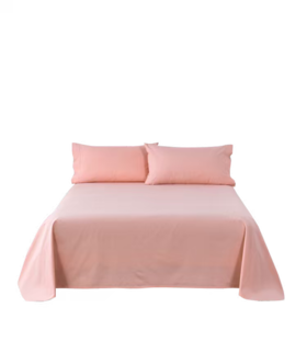 【春上新】10楼堂皇  促销床单 270x240cm   吊牌价290元   活动价69元（颜色随机）