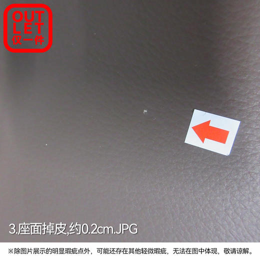 【OUTLET】3人位电动 LS06 NW 深摩卡色 商品图1