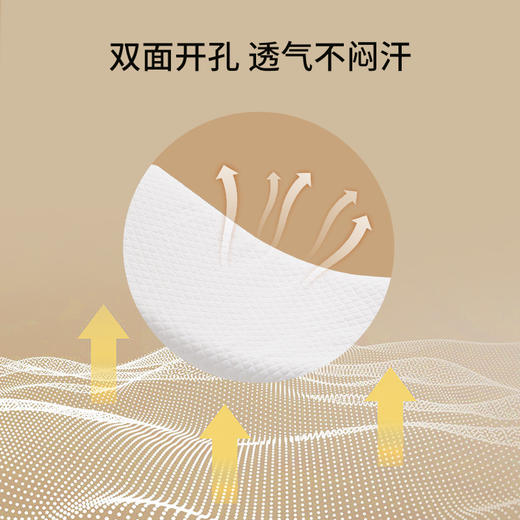 【春上新】10楼堂皇    泰舒芯天然乳胶枕40x60x4/6cm(超低枕）    零售价390元/只  活动价99元/只 商品图3