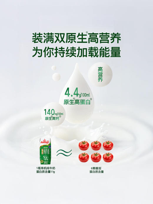 MM 山姆 安佳（Auchor）新西兰进口 有机全脂纯牛奶 250ml*24 商品图5