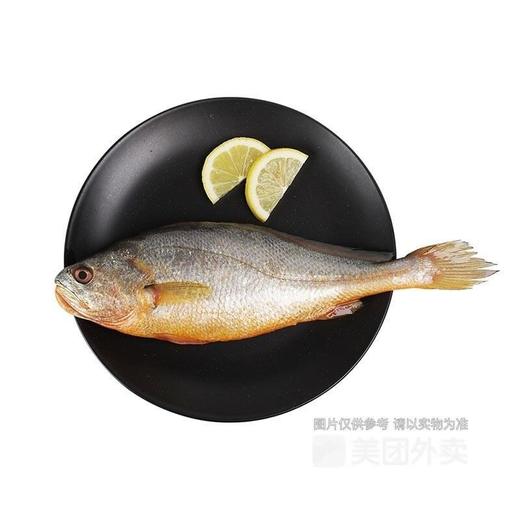 冰鲜野生黄花鱼（800±50g） 商品图1