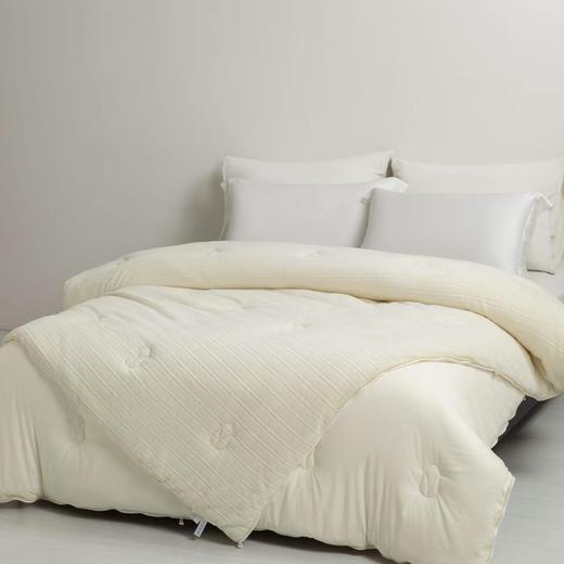 【春上新】10楼堂皇      玉米暖绒双胎被200x230cm胎重1000+2000g   吊牌价1590元  活动价299元 商品图0