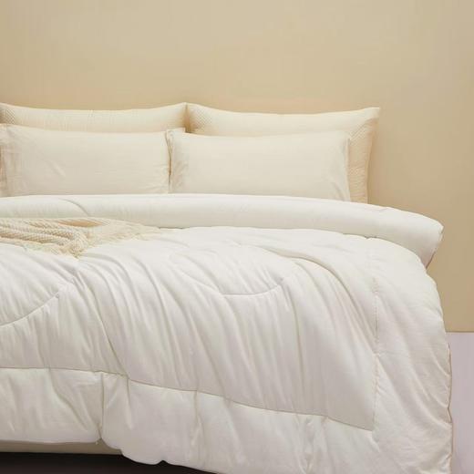 【春上新】10楼堂皇      玉米暖绒双胎被200x230cm胎重1000+2000g   吊牌价1590元  活动价299元 商品图1