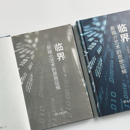 临界：新媒介艺术的思想征候 商品图7