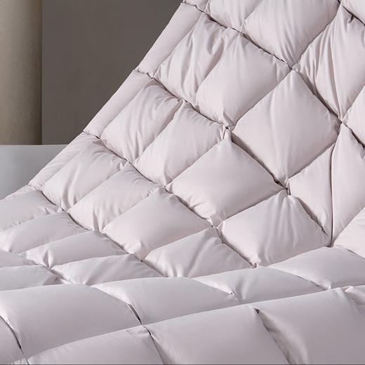 【春上新】10楼堂皇   典藏1986加拿大95白鹅绒春秋被，冬被-香槟晶（40周年纪念款）  吊牌价7590-13990元      活动价1999-2999元 商品图6