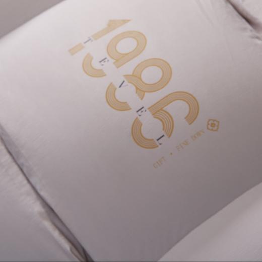 【春上新】10楼堂皇   典藏1986加拿大95白鹅绒春秋被，冬被-香槟晶（40周年纪念款）  吊牌价7590-13990元      活动价1999-2999元 商品图4