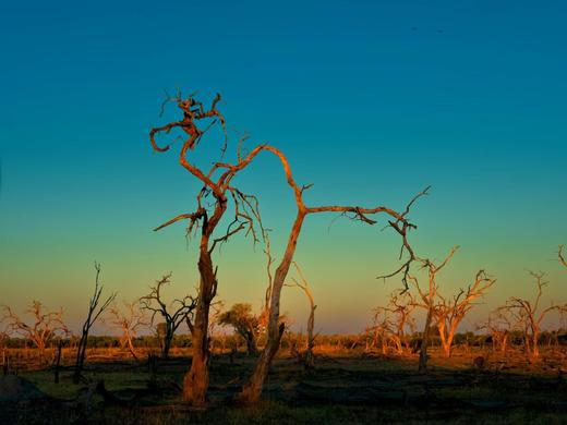 南部非洲四国：津巴布韦、赞比亚、博茨瓦纳、纳米比亚20天精华摄影团 商品图3