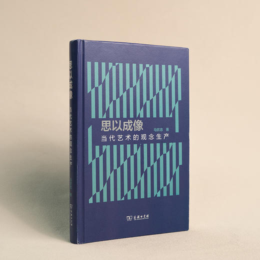 思以成像：当代艺术的观念生产 商品图5