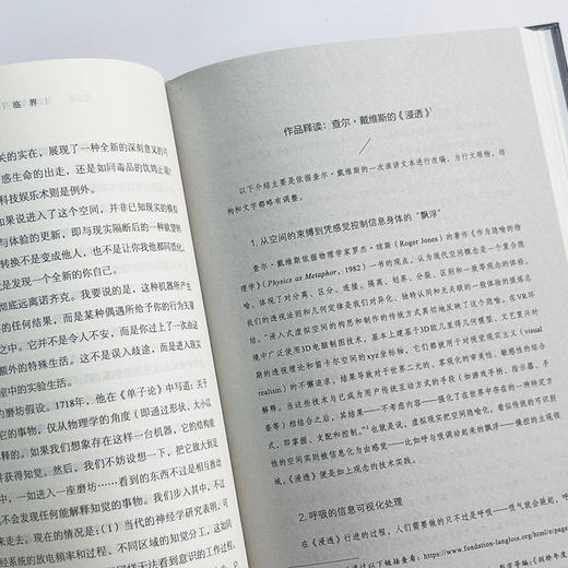 临界：新媒介艺术的思想征候 商品图11