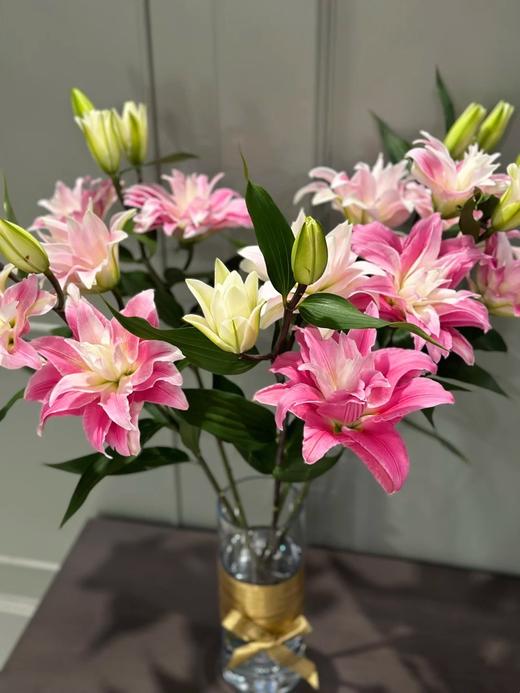 年宵花卉红丝带重瓣多头百合5支 商品图1