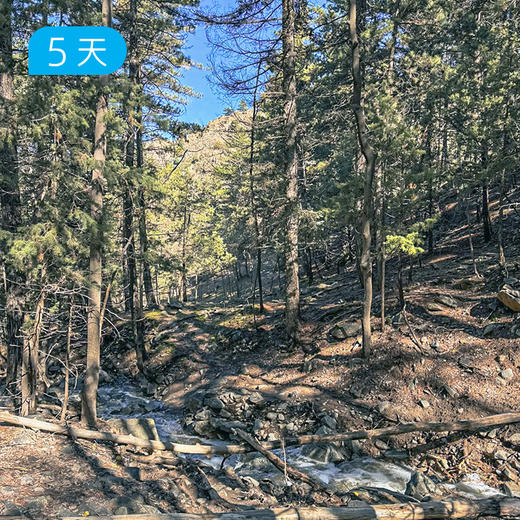 问阙贺兰山｜38公里轻徒步 走进半部边塞诗史 5日 商品图9