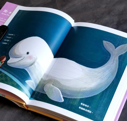 【特别推荐】几米签绘本《幸福猫泡泡》大块2025年初版一刷，精装16开96页。 商品图6