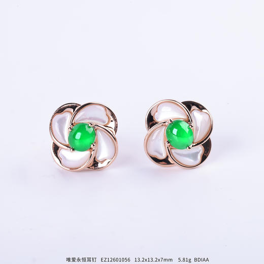 【唯爱永恒】耳钉   EZ12601056 商品图0