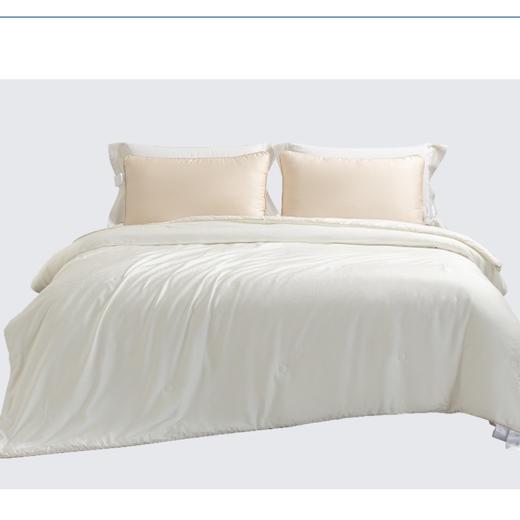 【春上新】10楼堂皇    好梦连连桑蚕丝春秋被白色    吊牌价2690-3190元   活动价999-1099元 商品图0