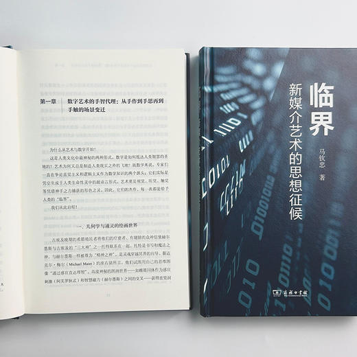 临界：新媒介艺术的思想征候 商品图10