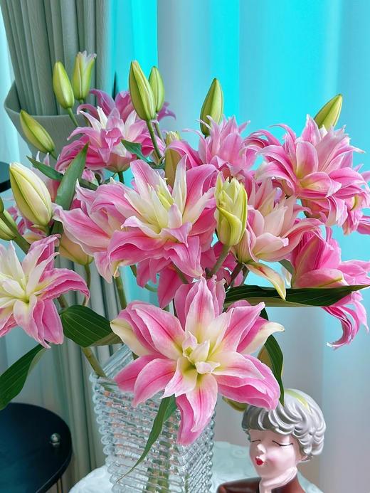 年宵花卉红丝带重瓣多头百合5支 商品图2