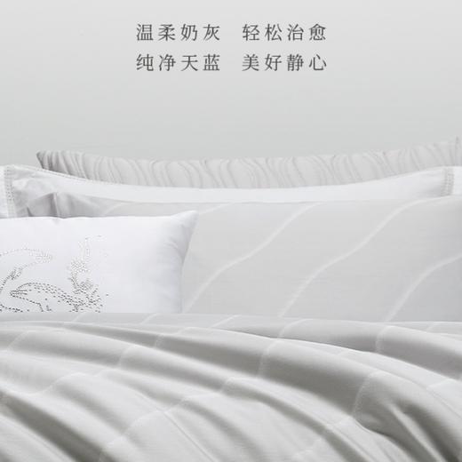 【春上新】10楼堂皇      天丝四件套---波光潋滟 （奶灰色）    吊牌价2190-2490元  活动价599-699元 商品图3