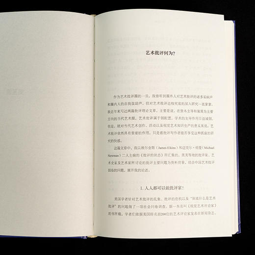 思以成像：当代艺术的观念生产 商品图12