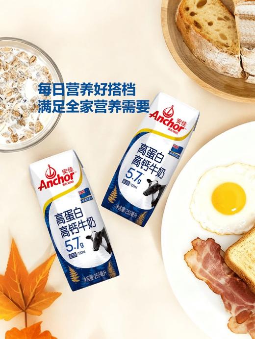 MM 山姆 安佳（Anchor）新西兰进口 高蛋白高钙牛奶 250ml*24 商品图4