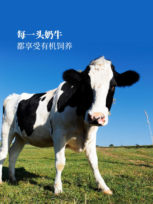 MM 山姆 悦鲜活 有机4.0鲜牛奶 260ml*8 商品图3