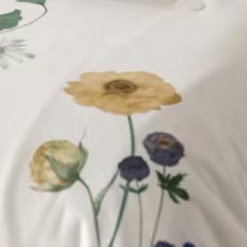 【春上新】10楼堂皇      幽梦凉感夏被    吊牌价990-1190元   活动价199-249元 商品图1