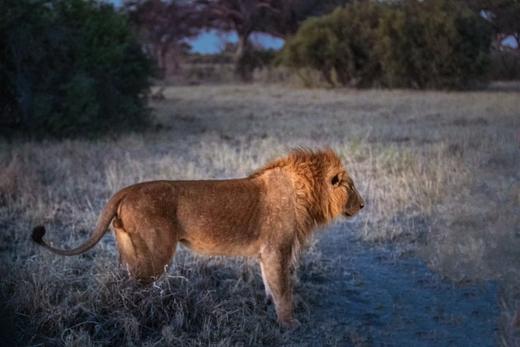 南部非洲四国：津巴布韦、赞比亚、博茨瓦纳、纳米比亚20天精华摄影团 商品图4