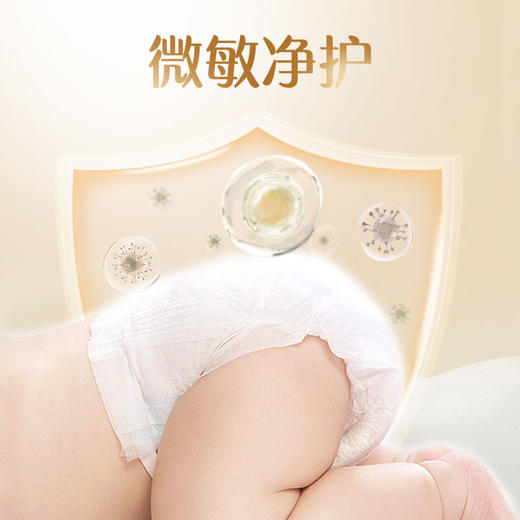【贝因美】纸尿裤小屁孩菁护婴儿纸尿裤/学步裤*4包 商品图1