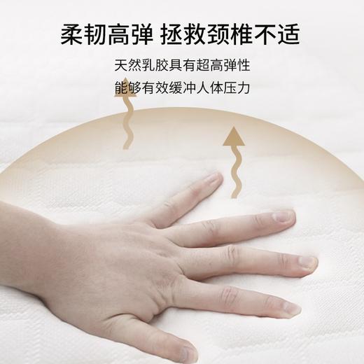 【春上新】10楼堂皇    泰舒芯天然乳胶枕40x60x4/6cm(超低枕）    零售价390元/只  活动价99元/只 商品图2