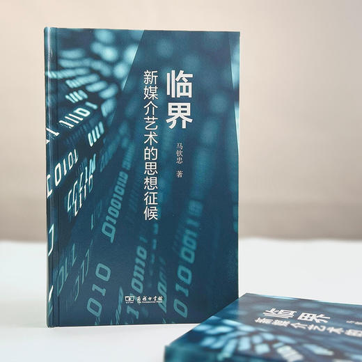 临界：新媒介艺术的思想征候 商品图5