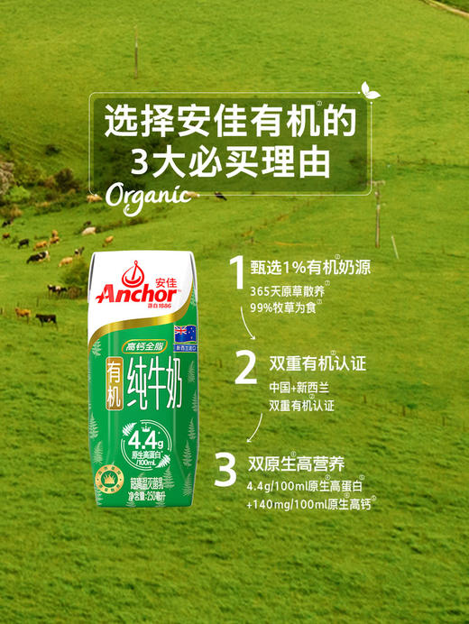 MM 山姆 安佳（Auchor）新西兰进口 有机全脂纯牛奶 250ml*24 商品图2