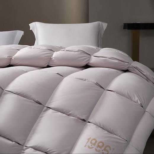 【春上新】10楼堂皇   典藏1986加拿大95白鹅绒春秋被，冬被-香槟晶（40周年纪念款）  吊牌价7590-13990元      活动价1999-2999元 商品图5