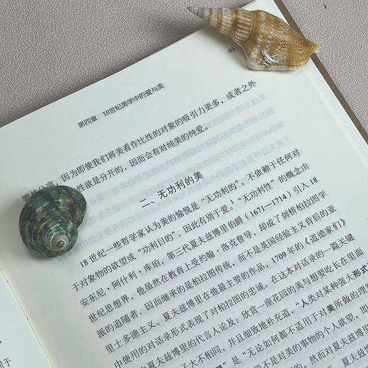 现代美学史简论(复旦中文系文艺学前沿课堂系列) 商品图6