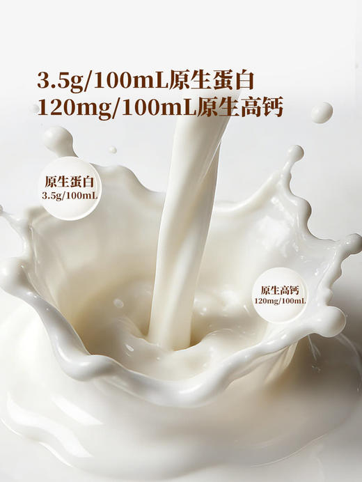 MM 山姆 Member's Mark 全脂牛奶（灭菌乳）200ml*30 商品图2