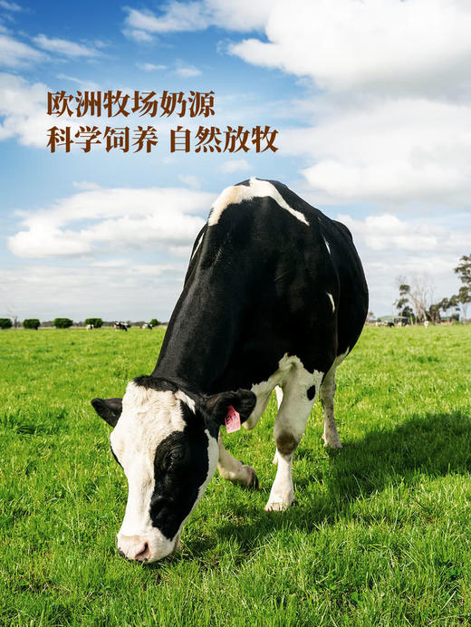 MM 山姆 Member's Mark 全脂牛奶（灭菌乳）200ml*30 商品图3