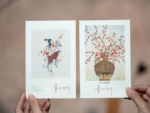 《敦煌全书》典藏版，柴剑虹、李国、常沙娜等敦煌专家编撰，700+敦煌jue版实拍照片，yongjiu关闭“特窟”shou次公开，一套读懂敦煌 商品图7