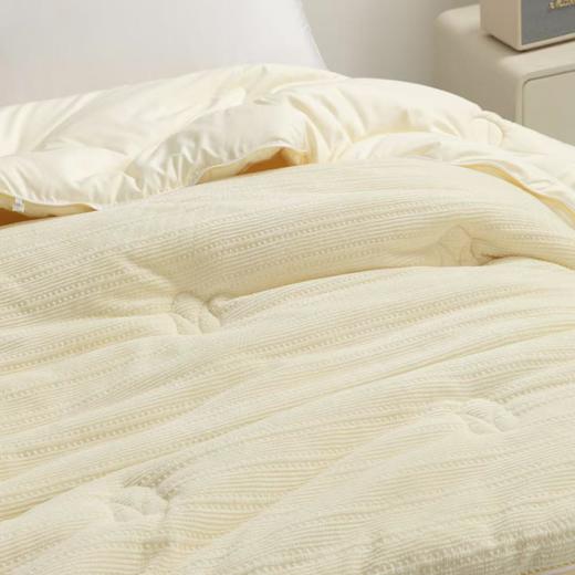 【春上新】10楼堂皇      玉米暖绒双胎被200x230cm胎重1000+2000g   吊牌价1590元  活动价299元 商品图6