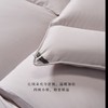 【春上新】10楼堂皇   典藏1986加拿大95白鹅绒春秋被，冬被-香槟晶（40周年纪念款）  吊牌价7590-13990元      活动价1999-2999元 商品缩略图2