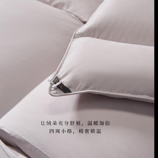【春上新】10楼堂皇   典藏1986加拿大95白鹅绒春秋被，冬被-香槟晶（40周年纪念款）  吊牌价7590-13990元      活动价1999-2999元 商品图2