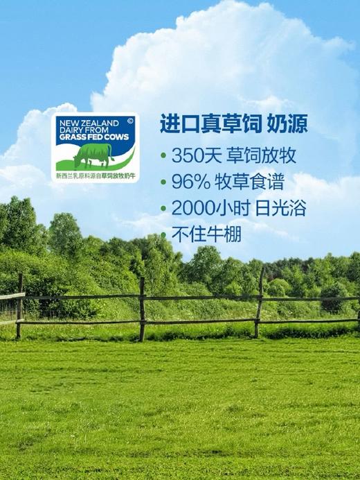 MM 山姆 安佳（Anchor）新西兰进口 高蛋白高钙牛奶 250ml*24 商品图3